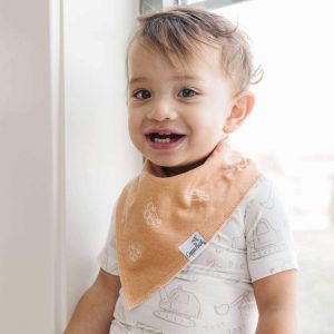 Baby Bandana Bibs – Gage